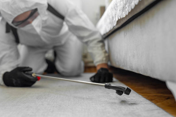 Professional Termite Control technician working in Bradford, RI