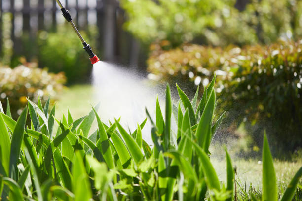 24/7 Emergency Termite Control experts in Bradford, RI