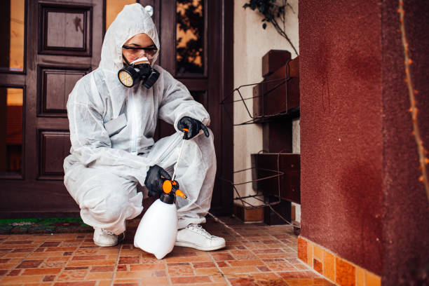 Reliable Termite Control contractor in Bradford, RI by Nex Pest Control