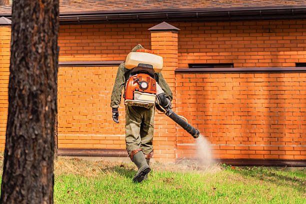 Top rated local Termite Control specialists in Bradford, RI